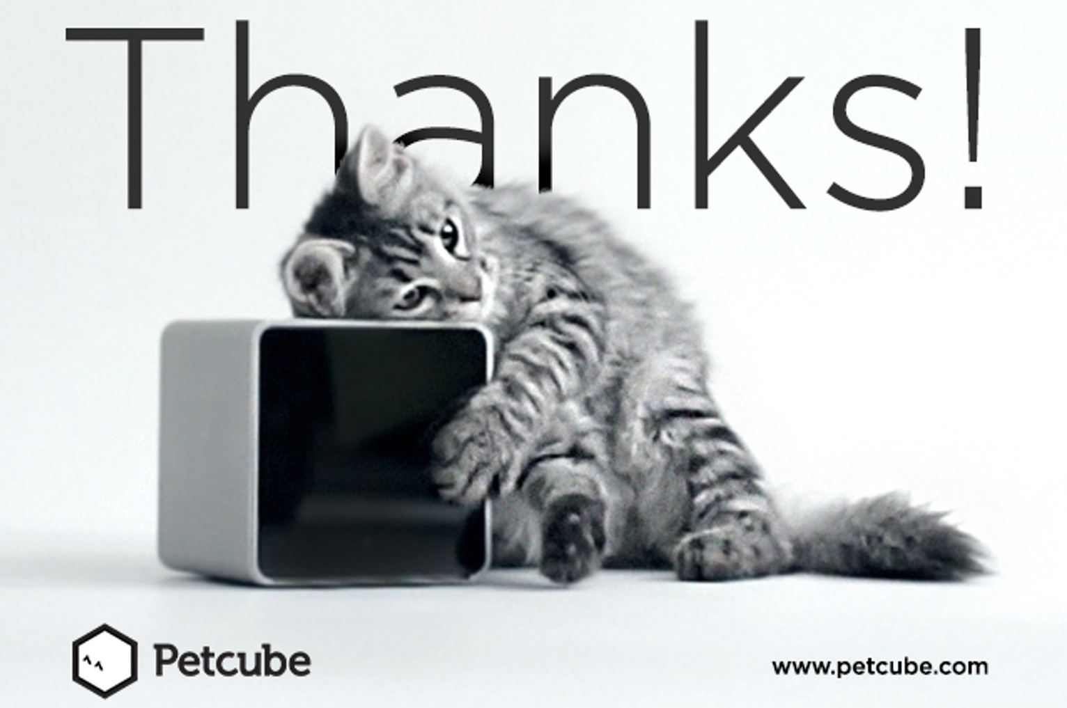 petcube