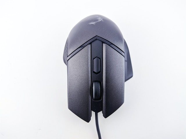 Wired or wireless mouse