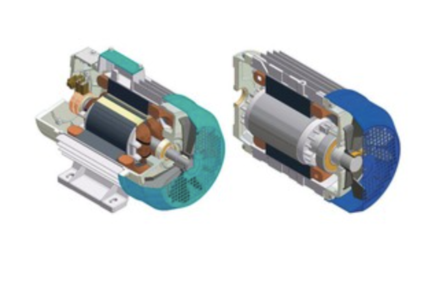 induction motor and a synchronous motor