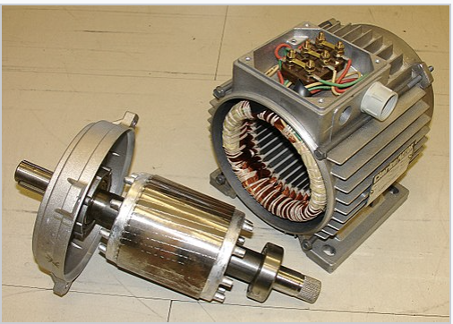 induction motor and a synchronous motor