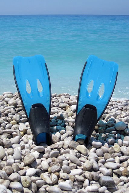 Swimming Flippers